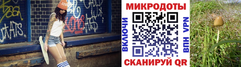 кракен рабочий сайт  Шумиха  Галлюциногенные грибы MAGIC MUSHROOMS  дарнет шоп 